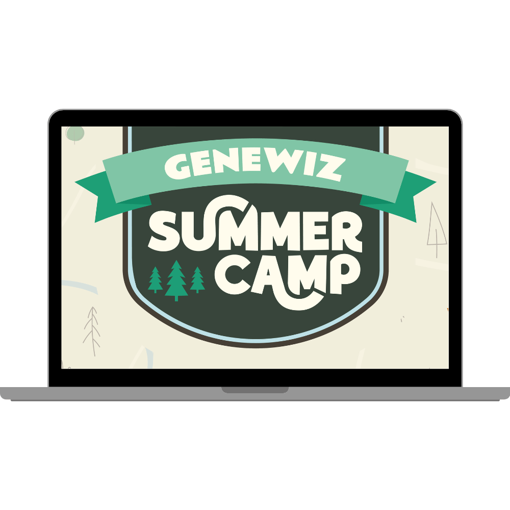 Ms3 Nanopore Results Web1 Timp Lab - Full HD Sunset Patterns for Desktop